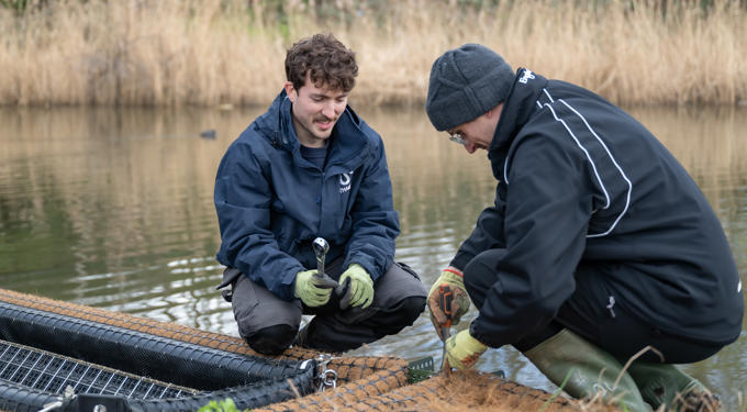 Gallions Lake Wetland Planting