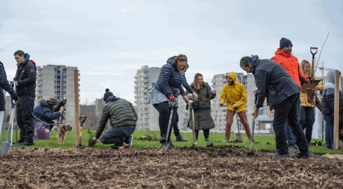 Group of people digging in mud